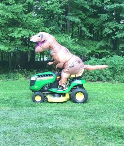 Looking for Lawn Care?