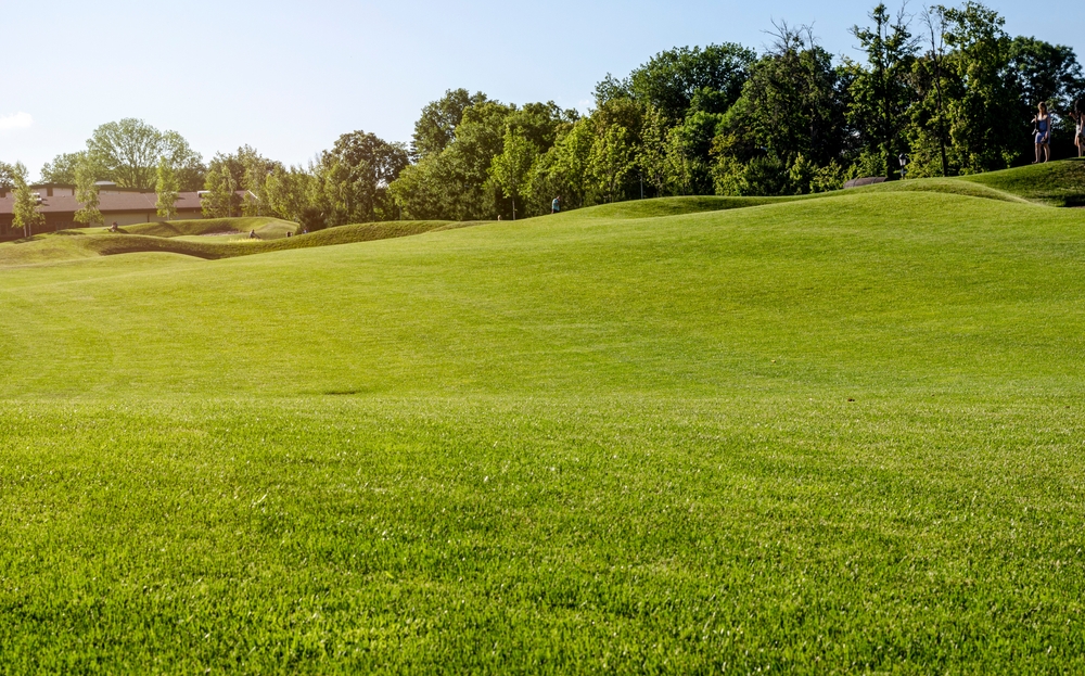 | the mckellar group Golf Course on a Sunny Day with Green Lush Green Grass